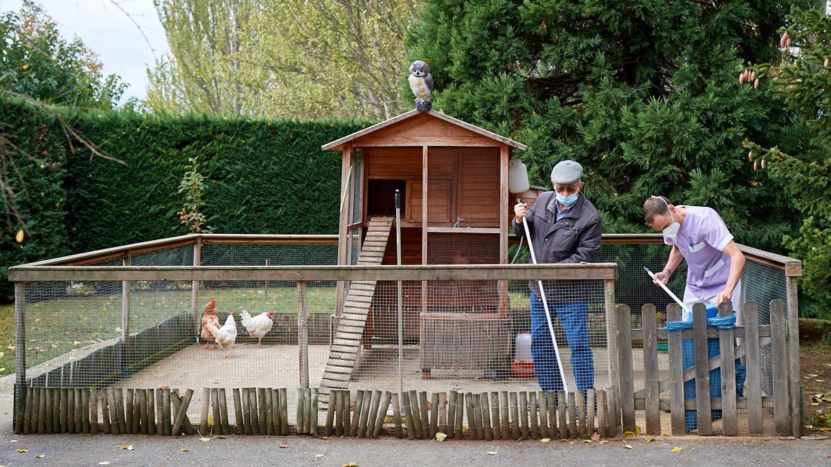 Un residente y un cuidador trabajan en el gallinero ubicado en el jardín de la residencia La Vaguada de Solera Asistencia en Pamplona. 